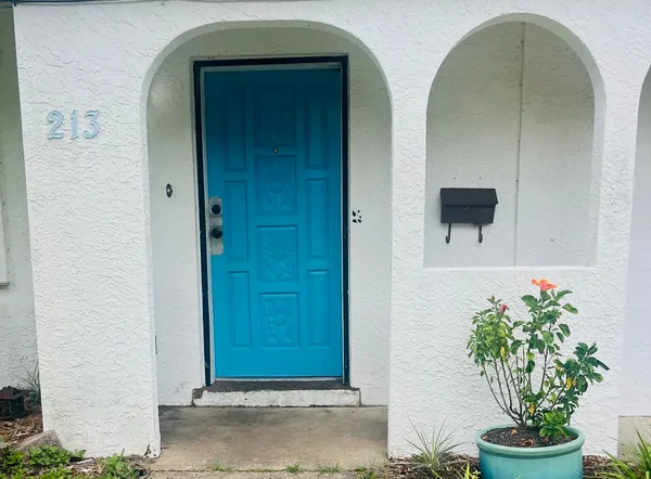 a potted plant in front of a door