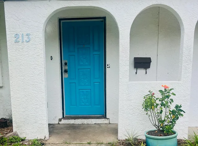 a potted plant in front of a door