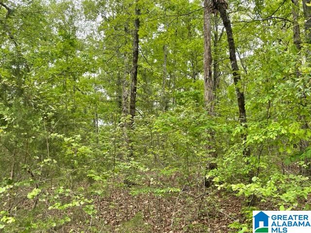 0 Ridgeview Court, Unit 39 Wedowee, AL 36278 - Photo 4 of 5
