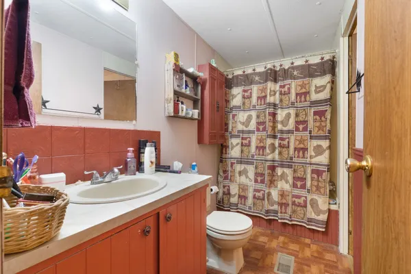 a bathroom with a sink toilet a mirror and shower curtain