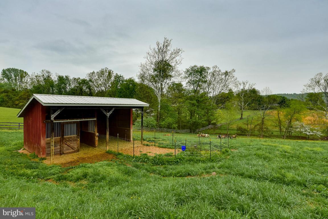 394 Hunters Road Washington, VA 22747 - Photo 22 of 30 Run in for livestock