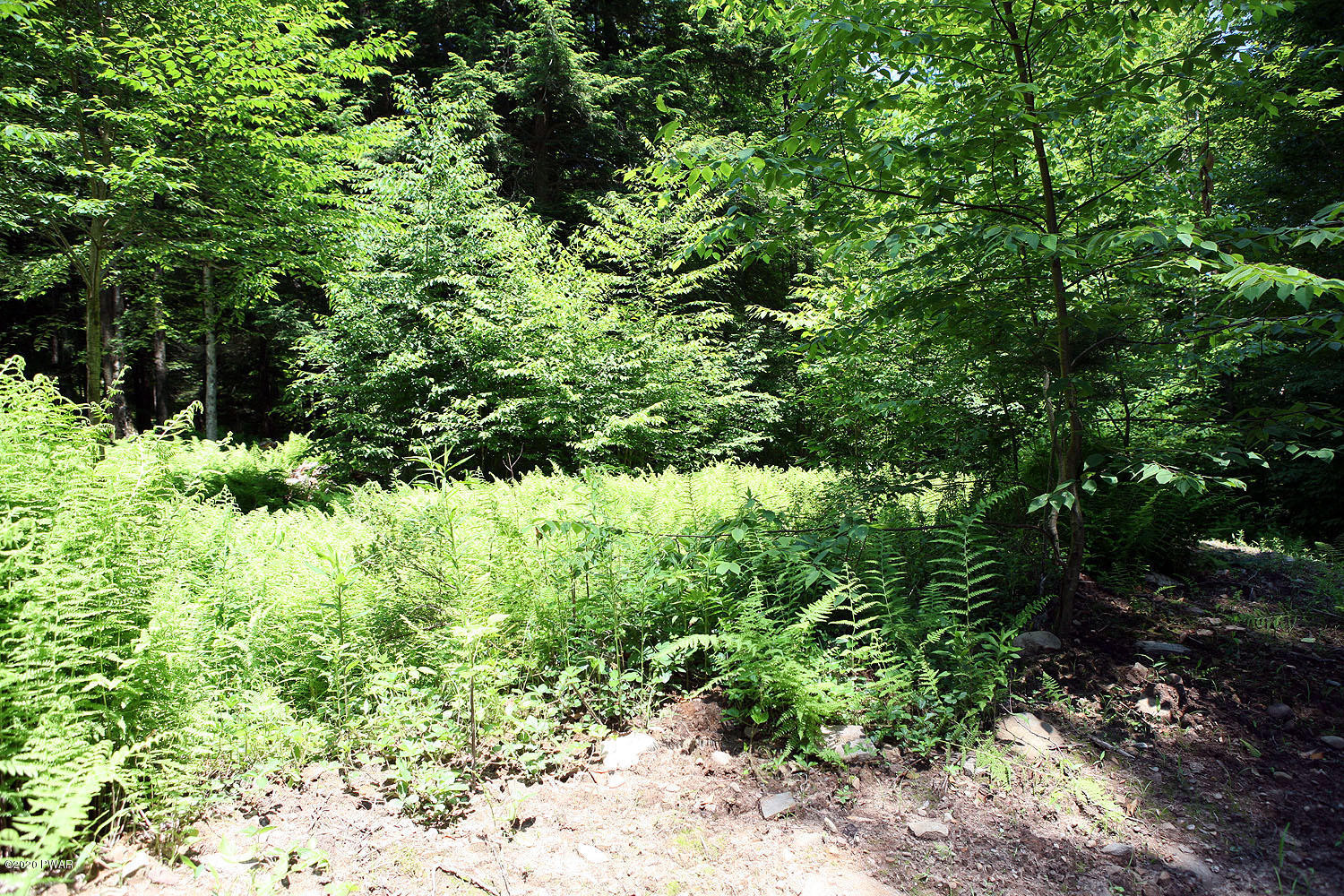 0 Braman Road Equinunk, PA 18417 - Photo 29 of 36