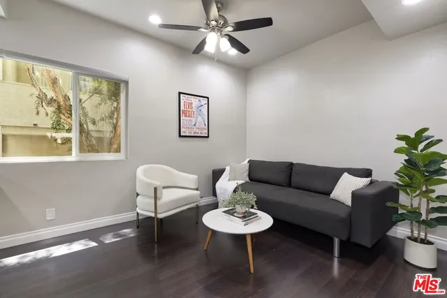 a living room with furniture a potted plant and a large window