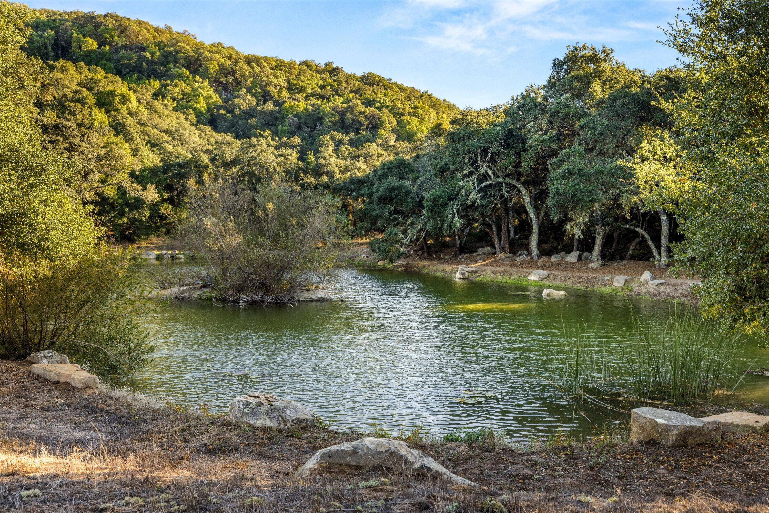 2381 Refugio Road Goleta, CA 93117 - Photo 38 of 48 44-7L5A8801
