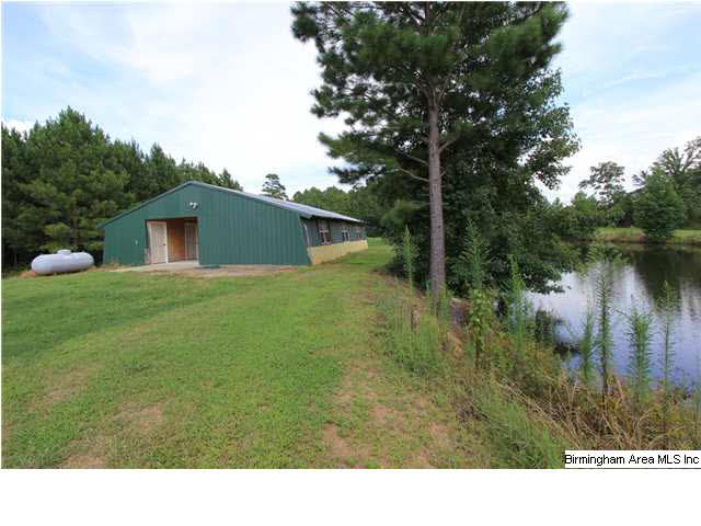 749 Dove Welch Road Wellington, AL 36279 - Photo 24 of 32