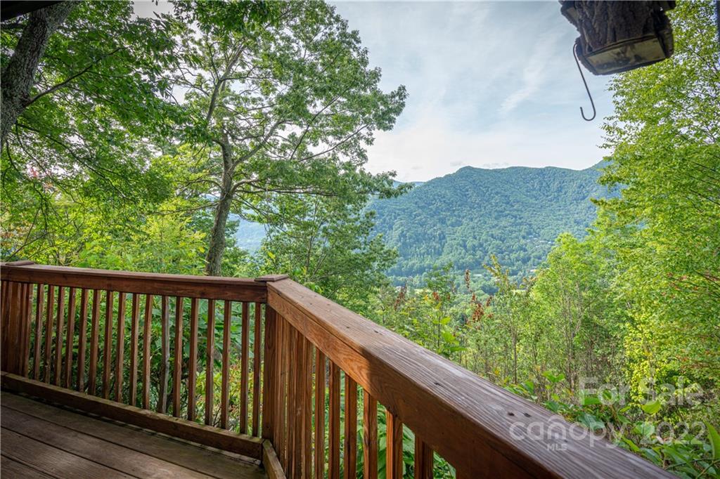 683 Sheepback Mountain Road Maggie Valley, NC 28751 - Photo 5 of 44 Gallery Image 5