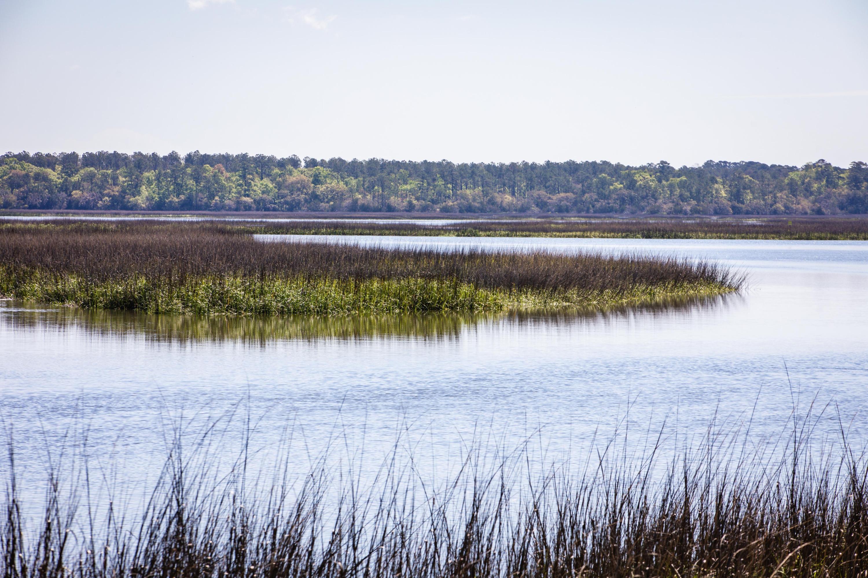 6196 Rockefeller Road Wadmalaw Island, SC 29487 - Photo 35 of 53 View towards Ledenwah River