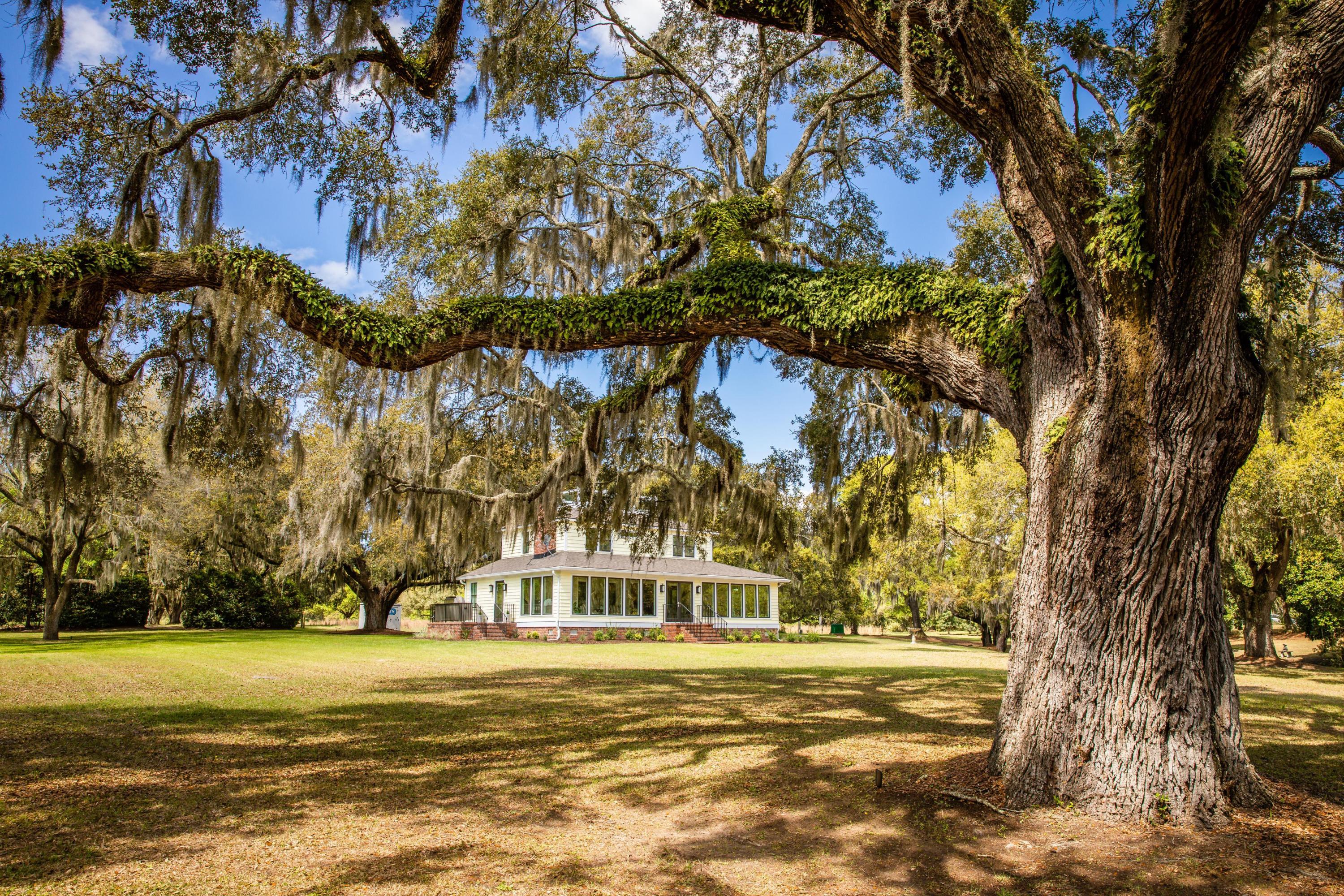 6196 Rockefeller Road Wadmalaw Island, SC 29487 - Photo 40 of 53 Front Yard