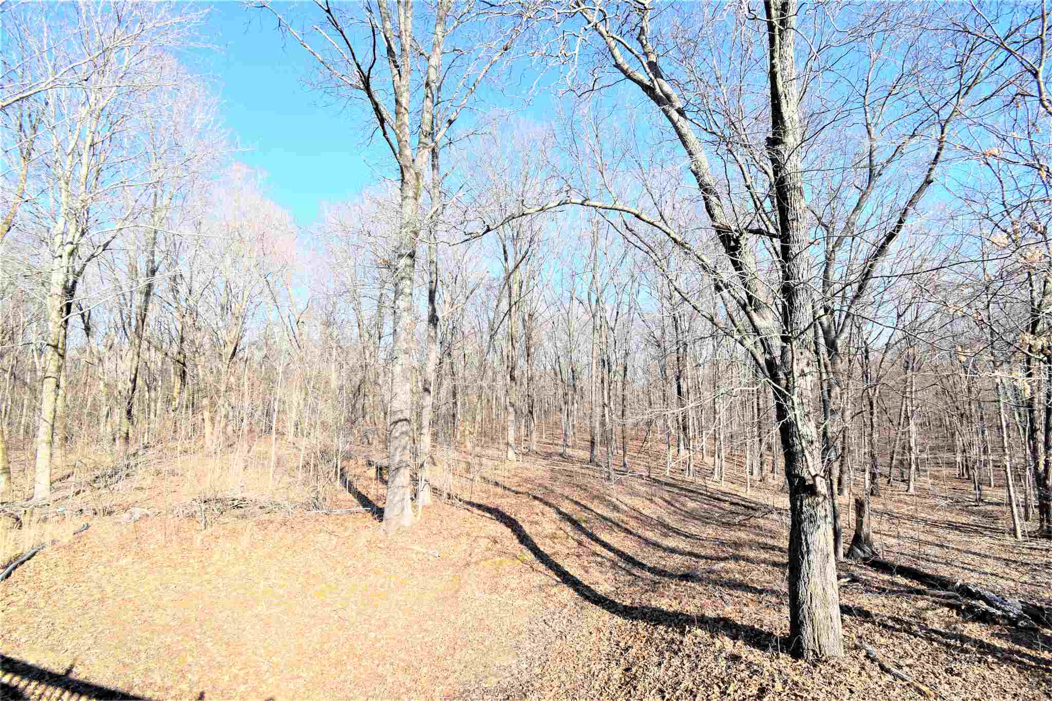 14486 East Tolle Road Mount Vernon, IL 62864 - Photo 9 of 48 Gallery Image 9