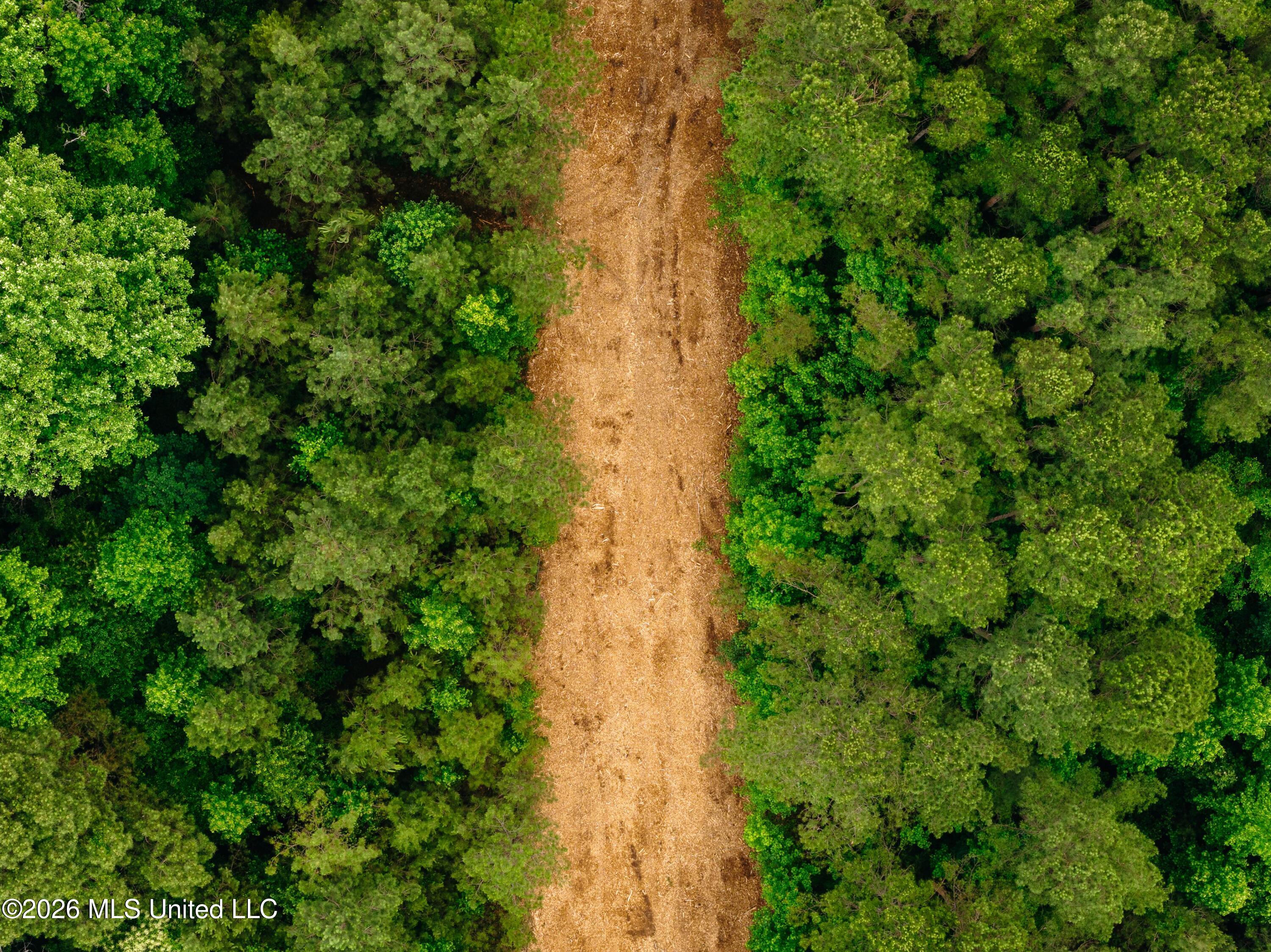 10843 Reservation Road Philadelphia, MS 39350 - Photo 22 of 42 DJI_20260523043204_0541_D