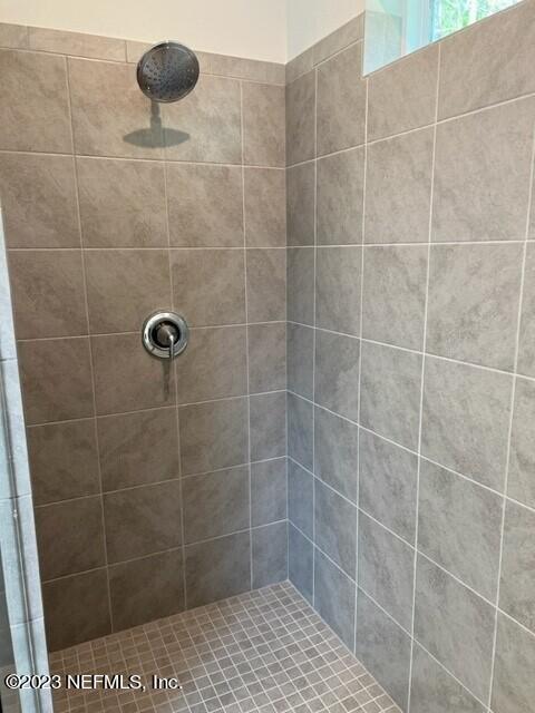 3805 Eagle Rock Road Middleburg, FL 32068 - Photo 11 of 23 owner's suite shower