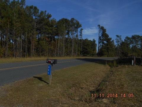 801 Honeysuckle Road Harleyville, SC 29448 - Photo 3 of 10 737148462e003