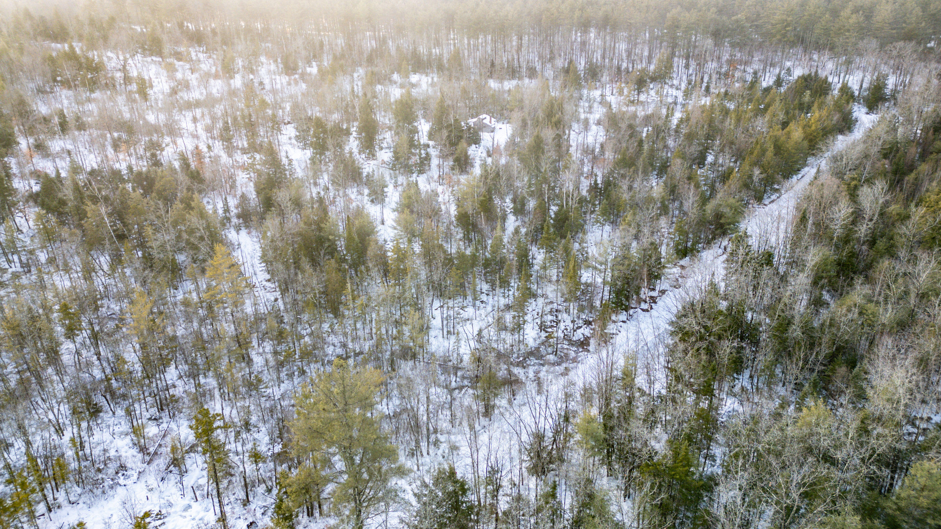 Lot 7-001 Crouse Road Bethel, ME 04217 - Photo 4 of 21 20241217gp-61003