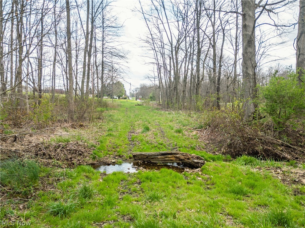 Steiner Road Sterling, OH 44276 - Photo 10 of 22