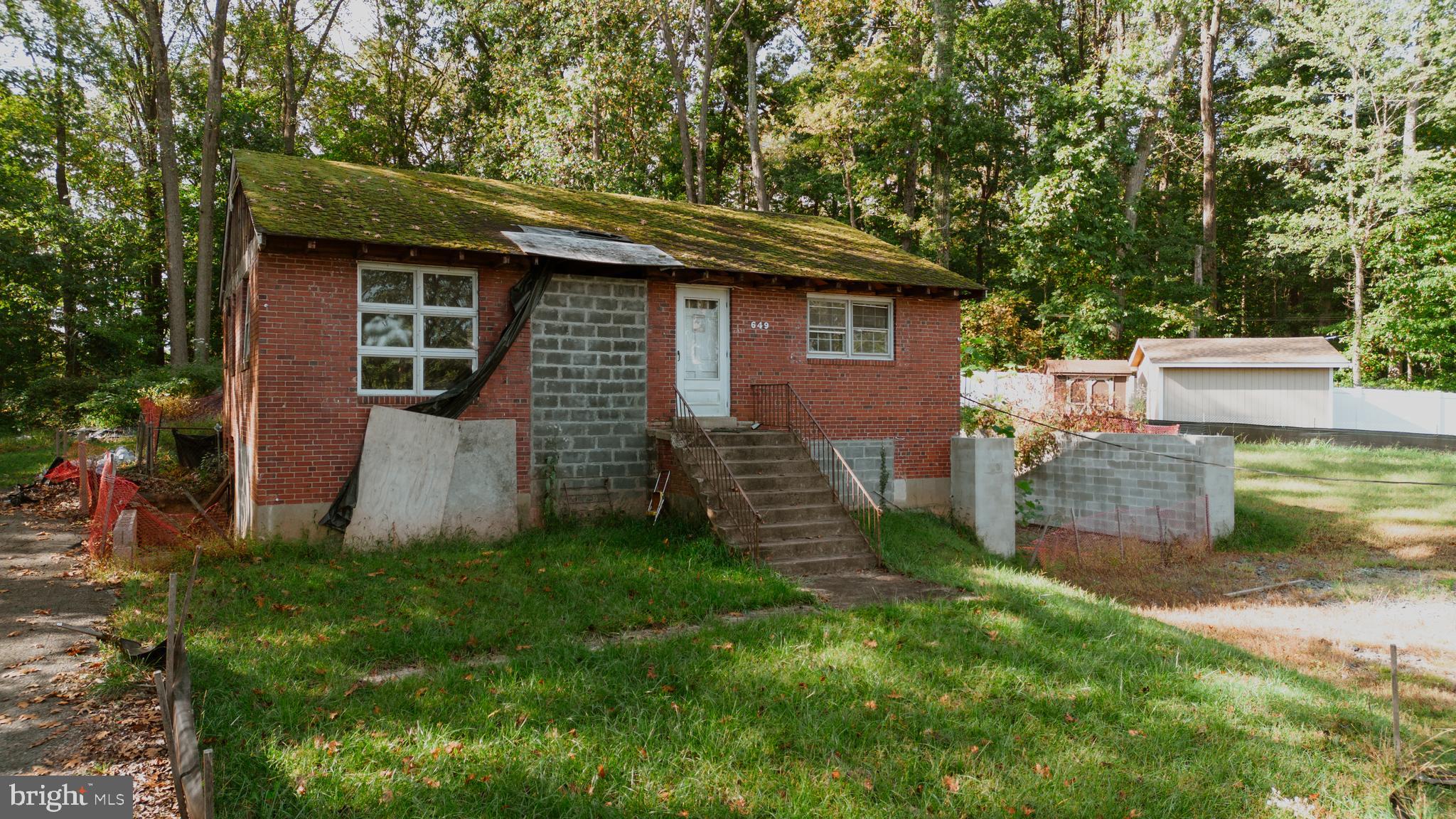 6649 Kerns Road Falls Church, VA 22042 - Photo 37 of 38 a view of a backyard with plants and large tree