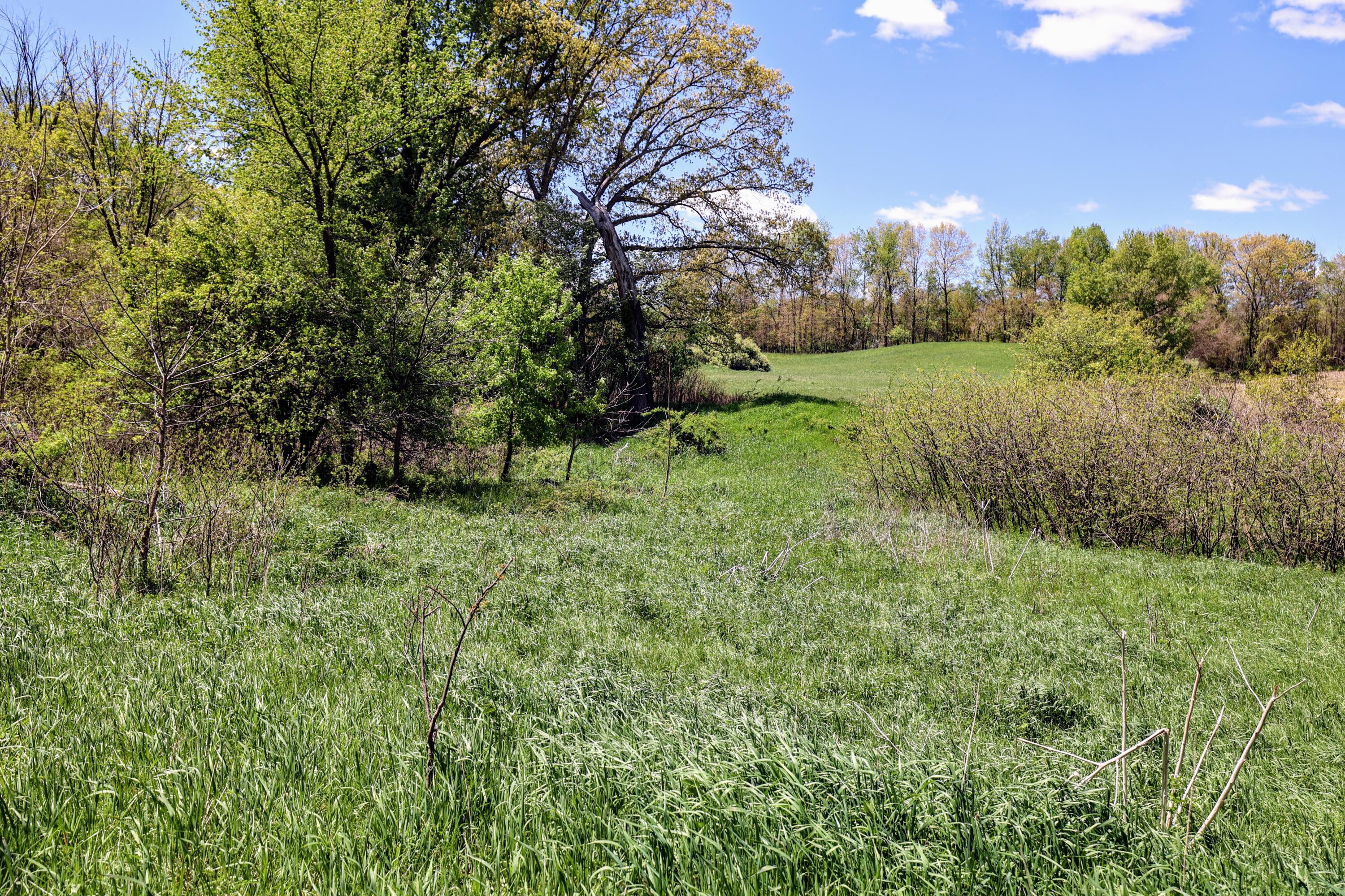 8 1/2 8 1/2 Mile Road Burlington, MI 49029 - Photo 18 of 55 18
