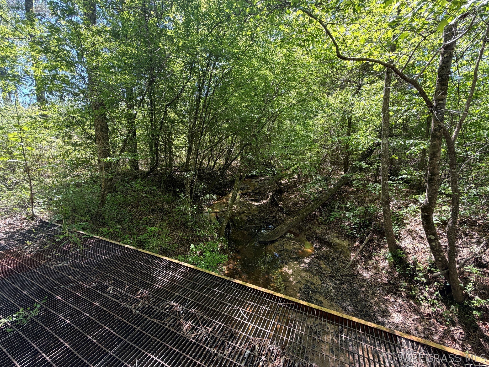 0 Leon Tower Road Dozier, AL 36028 - Photo 14 of 26 Gallery Image 14