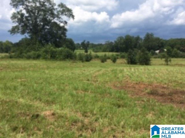 0 Hackney Street, Unit 8 29 ACRES Lincoln, AL 35096 - Photo 14 of 18