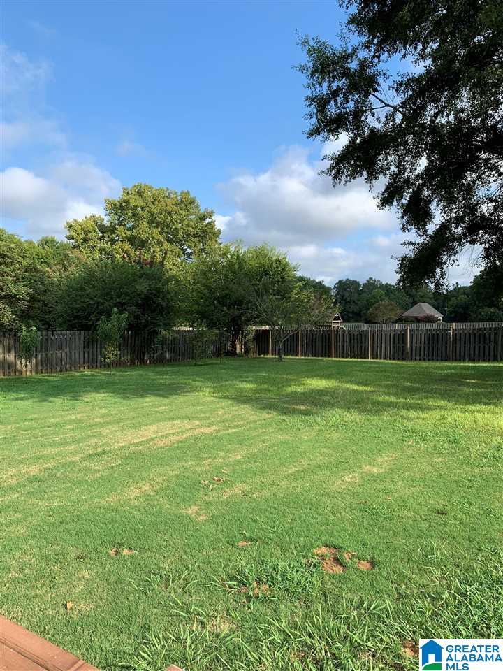 104 Morning Mist Trail Alabaster, AL 35007 - Photo 18 of 20