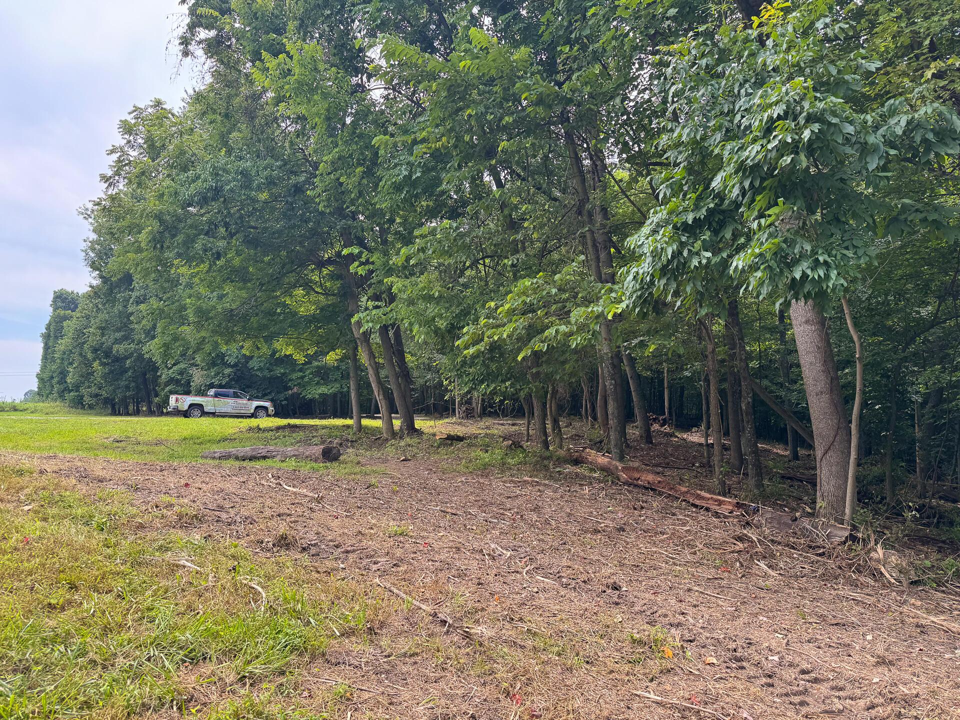 16487 Flint Ridge Road, Unit LOT L WOODS FLINT RIDGE) Newark, OH 43056 - Photo 3 of 39 CT-3