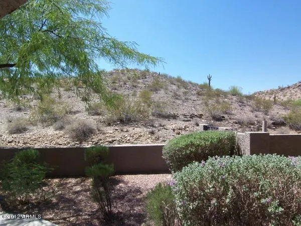 a view of a garden with large trees