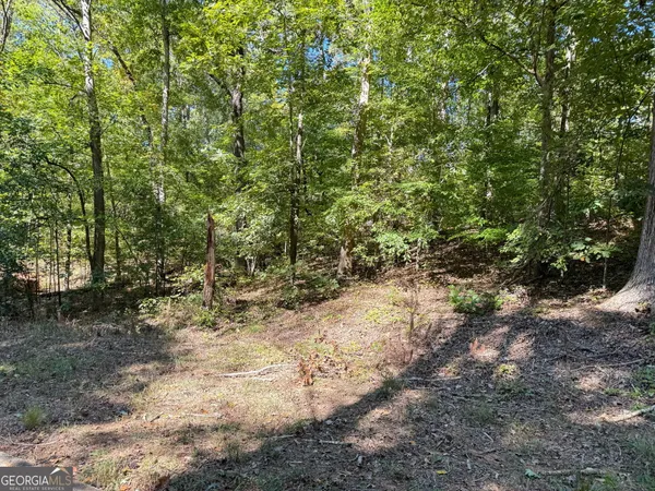 a view of a yard with plants and trees