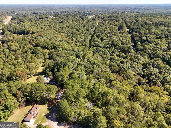 a view of a bunch of trees