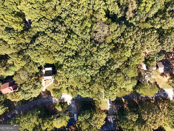 a view of a yard with a tree