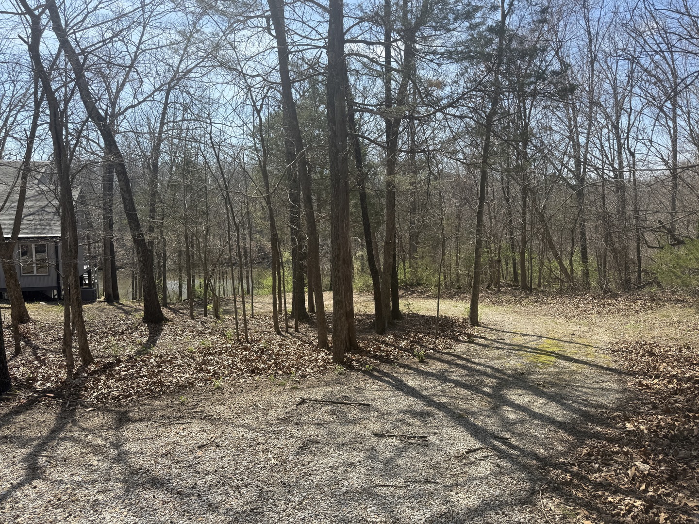 207 Kennedy Road Carbondale, IL 62903 - Photo 36 of 46