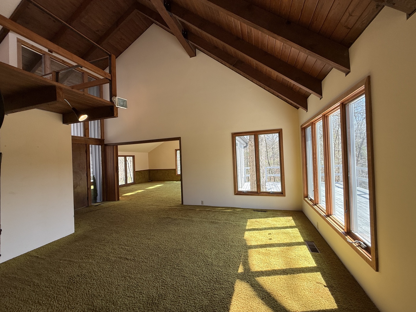 207 Kennedy Road Carbondale, IL 62903 - Photo 45 of 46