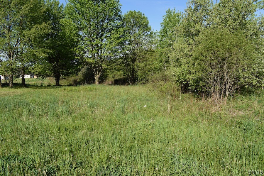 0 Cole Road Mexico, NY 13114 - Photo 1 of 1