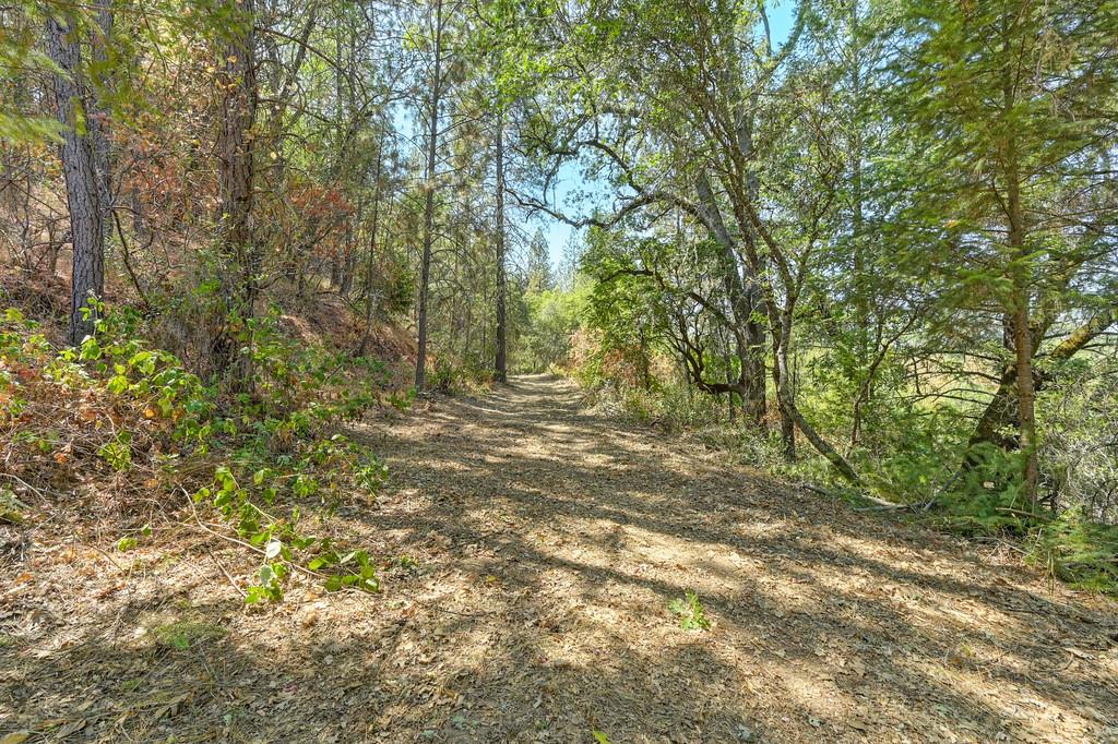 0 Browns Road Placerville, CA 95667 - Photo 11 of 42