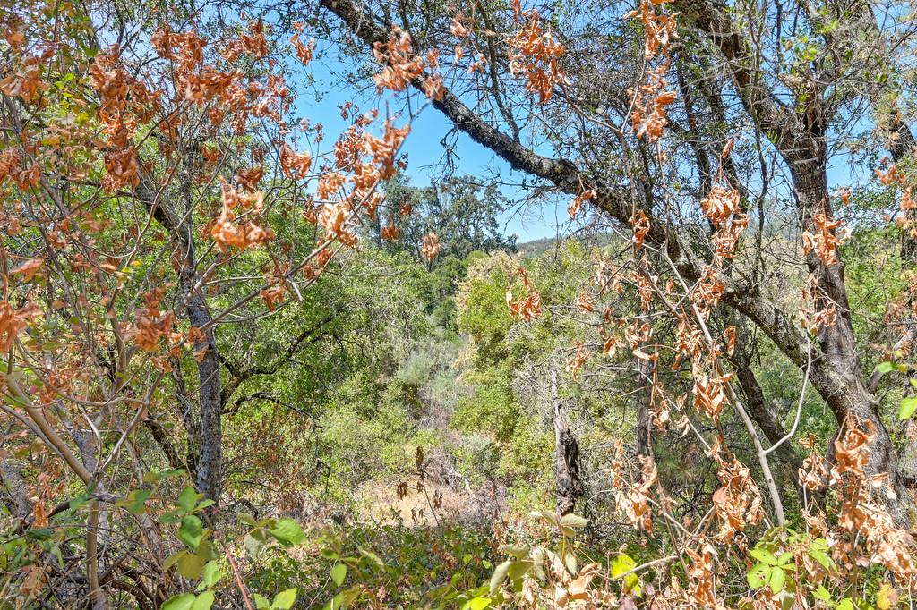 0 Browns Road Placerville, CA 95667 - Photo 13 of 42