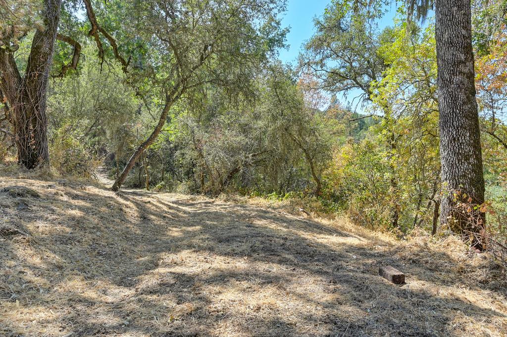 0 Browns Road Placerville, CA 95667 - Photo 14 of 42