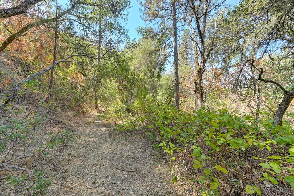 0 Browns Road Placerville, CA 95667 - Photo 17 of 42