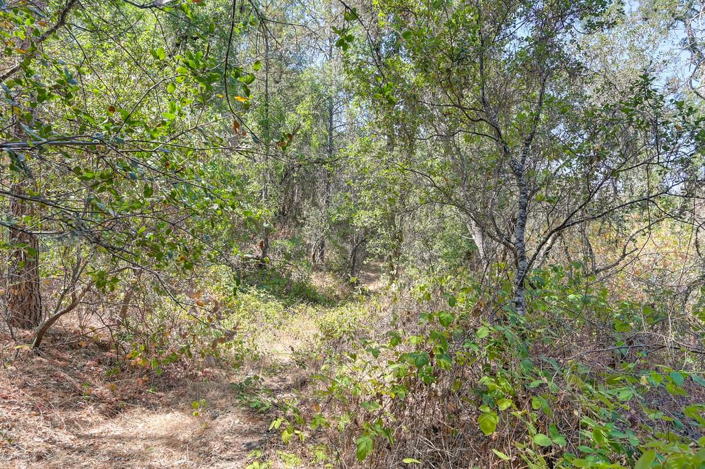 0 Browns Road Placerville, CA 95667 - Photo 18 of 42