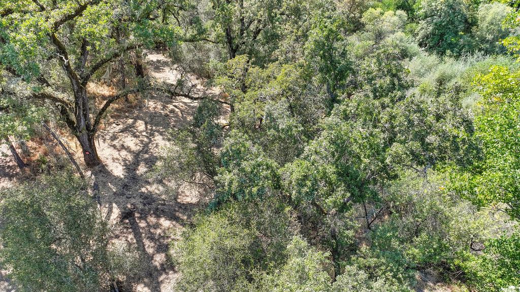 0 Browns Road Placerville, CA 95667 - Photo 19 of 42