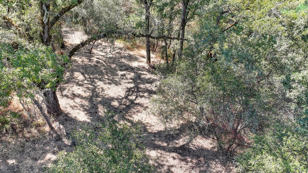 0 Browns Road Placerville, CA 95667 - Photo 20 of 42