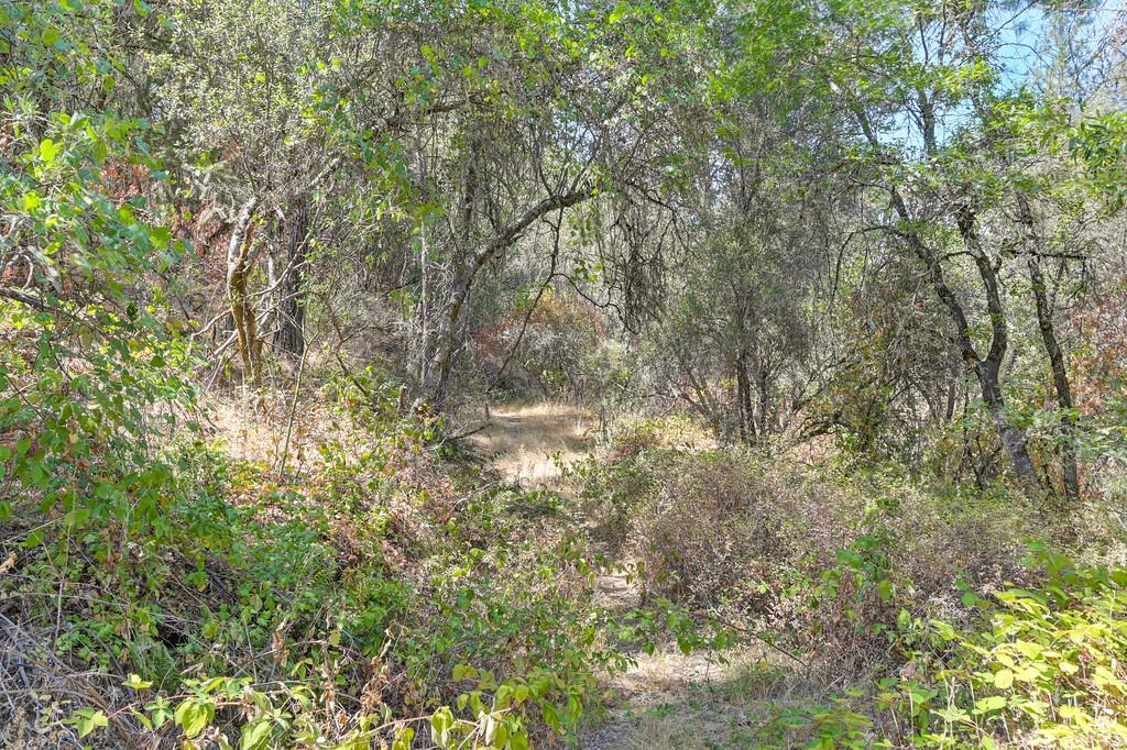 0 Browns Road Placerville, CA 95667 - Photo 22 of 42
