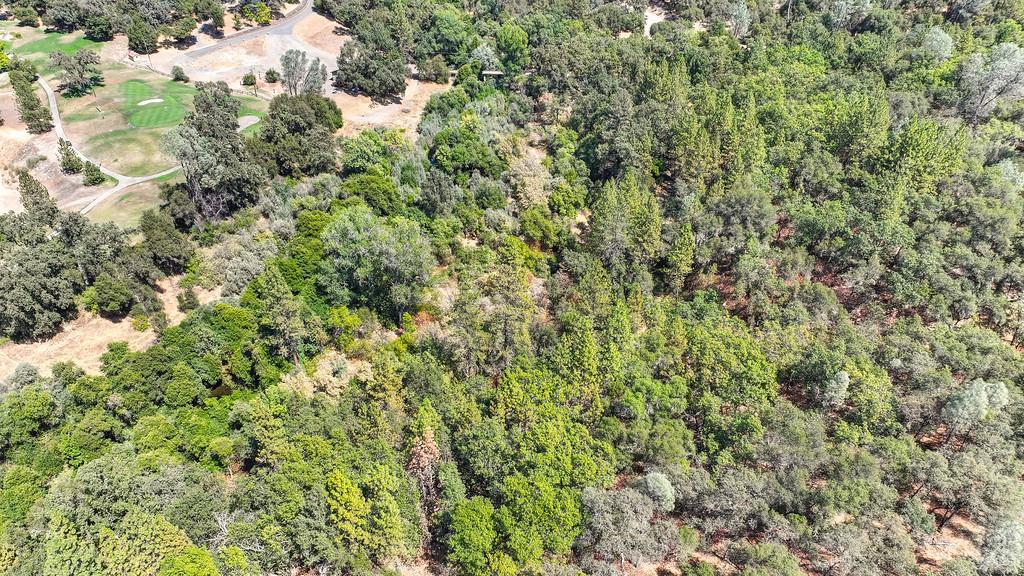 0 Browns Road Placerville, CA 95667 - Photo 28 of 42