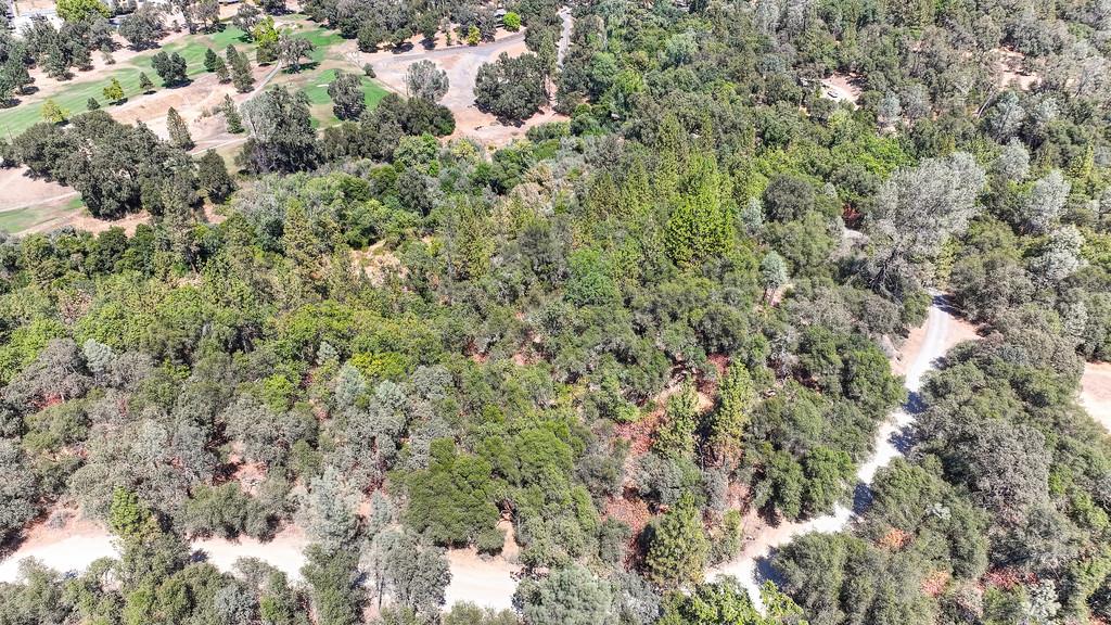 0 Browns Road Placerville, CA 95667 - Photo 29 of 42