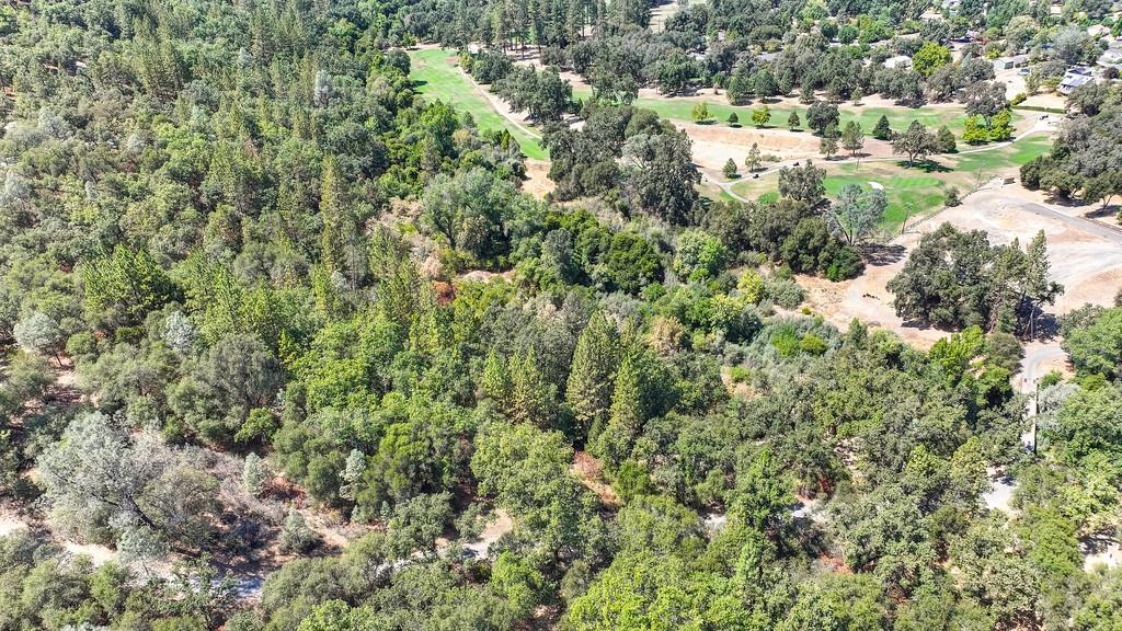 0 Browns Road Placerville, CA 95667 - Photo 31 of 42