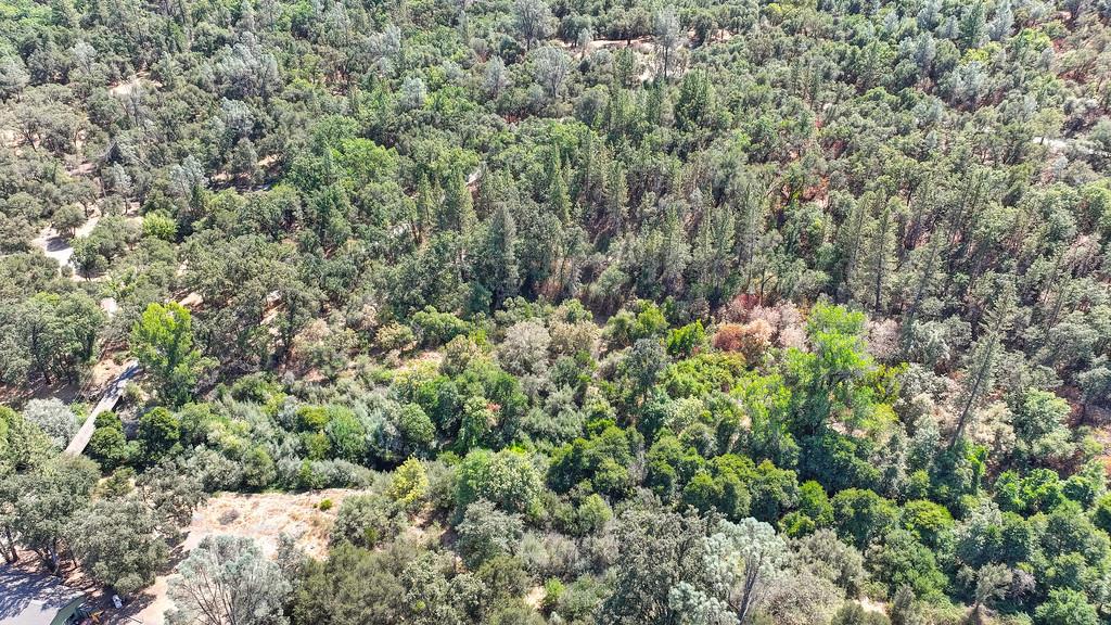 0 Browns Road Placerville, CA 95667 - Photo 32 of 42