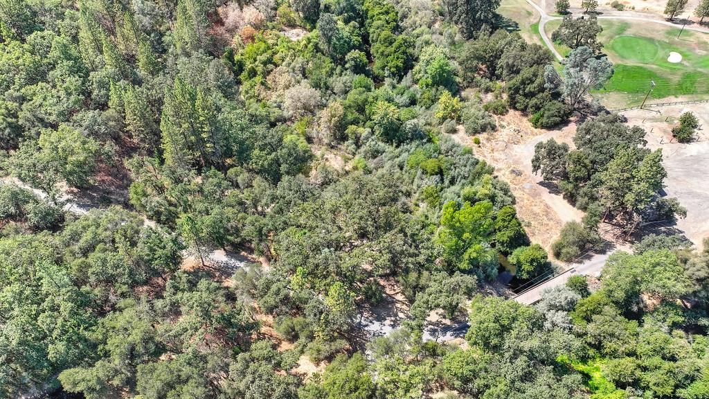 0 Browns Road Placerville, CA 95667 - Photo 35 of 42