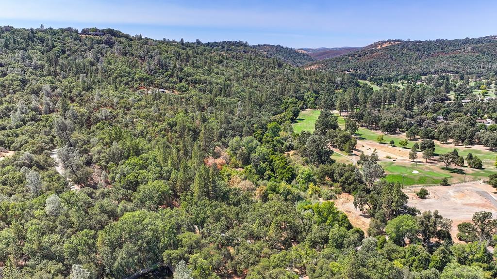 0 Browns Road Placerville, CA 95667 - Photo 36 of 42