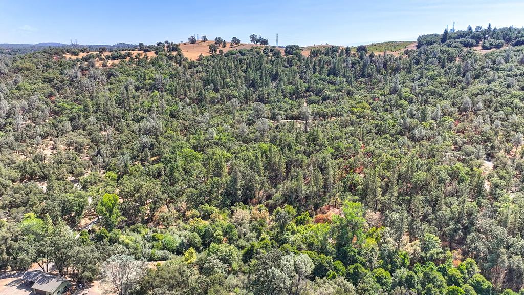 0 Browns Road Placerville, CA 95667 - Photo 39 of 42