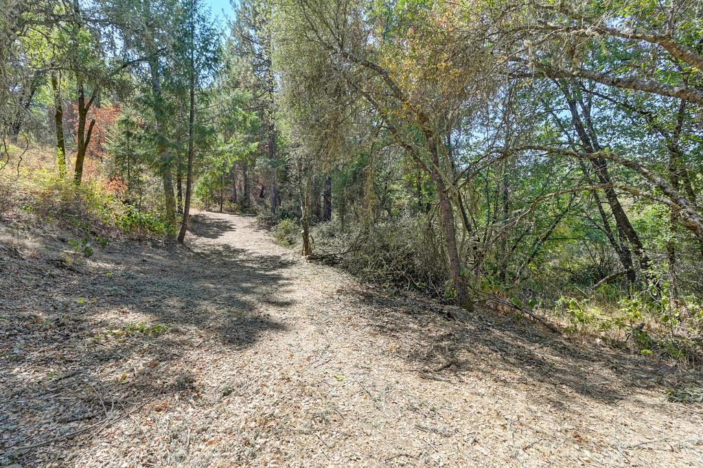 0 Browns Road Placerville, CA 95667 - Photo 4 of 42