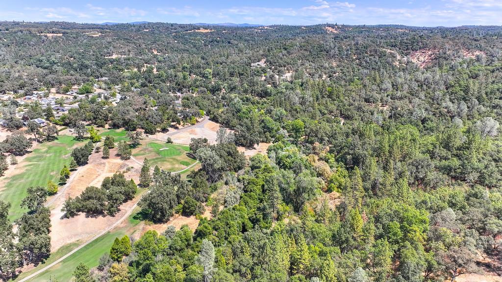 0 Browns Road Placerville, CA 95667 - Photo 41 of 42