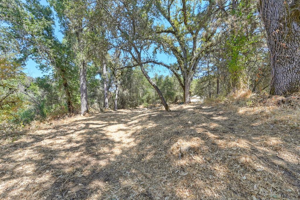 0 Browns Road Placerville, CA 95667 - Photo 6 of 42
