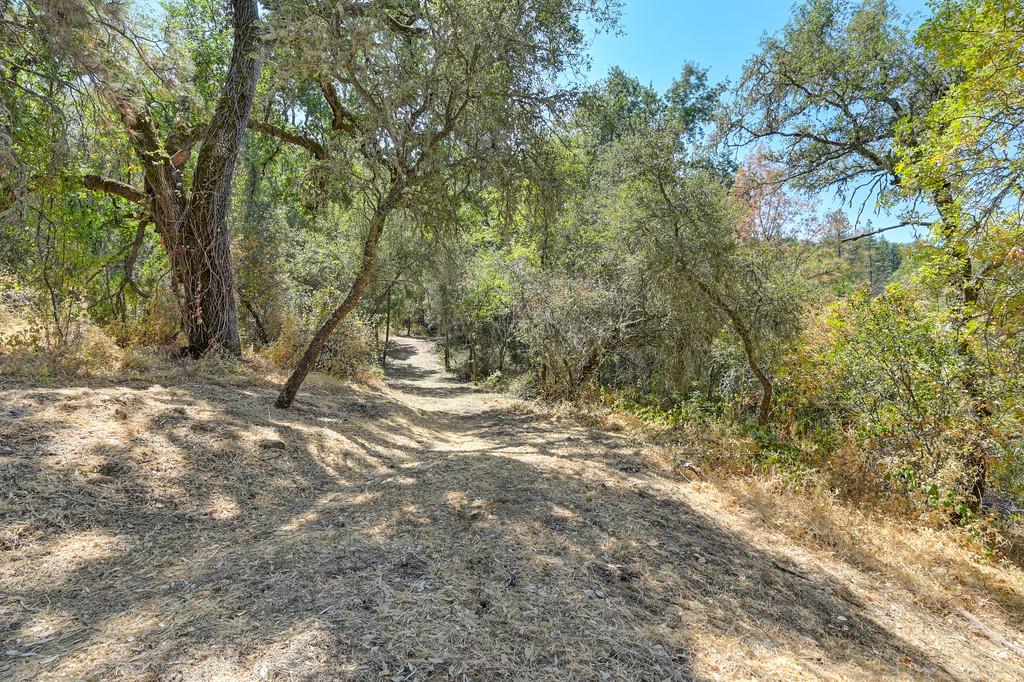 0 Browns Road Placerville, CA 95667 - Photo 7 of 42